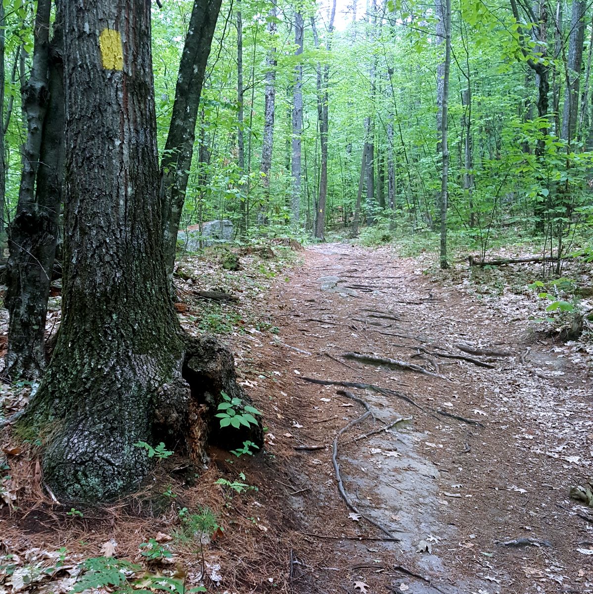 oak hill trail.jpg